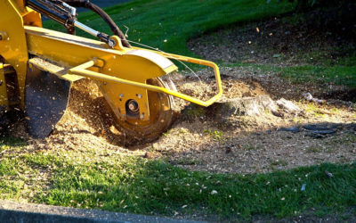 Stump Grinding Tools – The Right Finish to Complete the Best Projects